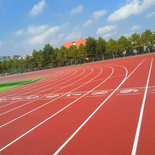 全塑型塑胶跑道价格一平方大概多少钱? 全塑型塑胶跑道价格一平方大概多少钱?