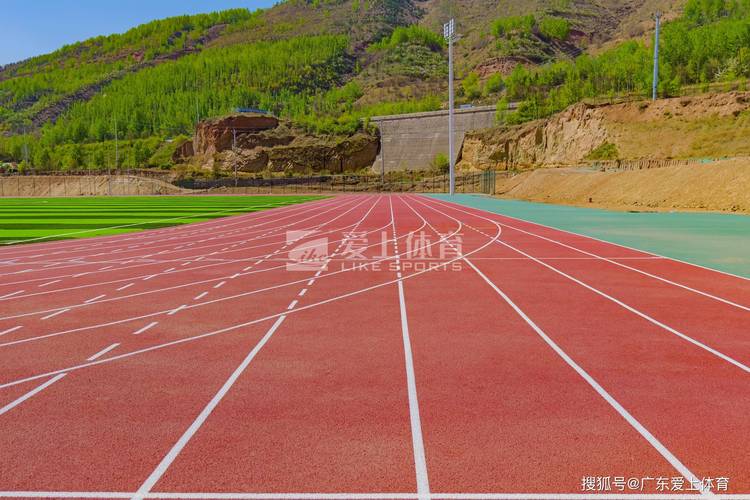 河南塑胶跑道厂家 河南塑胶跑道厂家
