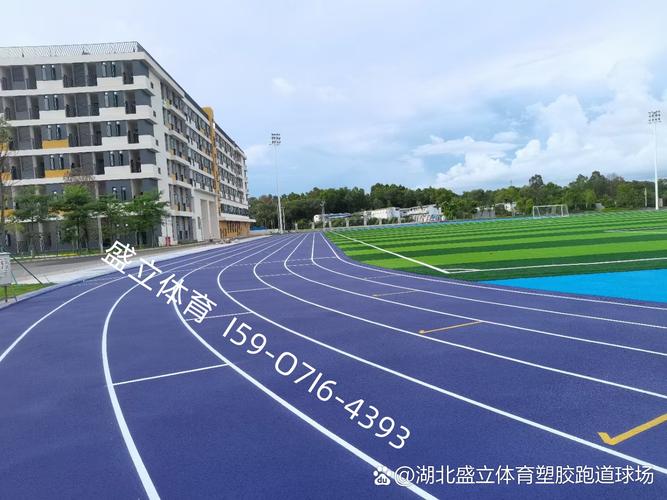 全塑型塑胶跑道价格一平方大概多少钱? 全塑型塑胶跑道价格一平方大概多少钱?